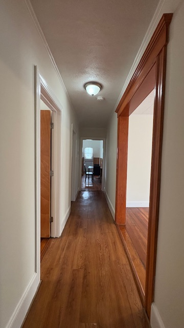 Apartment Picture