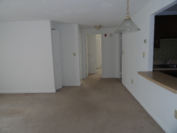 Apartment Picture